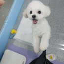 과천우주동물병원
