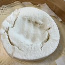 삼육상사 | 슈리씨케이크 일상 / n잡러는 힘들어요 / 정말 오랜만의 영화관데이트 / 삼육보건대 치위생과 평생교육원