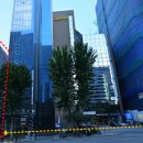 역삼오늘약국 이미지