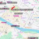 라우루스 이미지