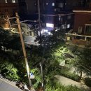 약초동물병원 | 전립선에 좋은 음식 영양제 약초 다 이긴 것