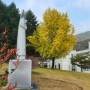 비봉건설 | 황사영백서,토굴,탁사정,청풍문화재단지,한벽루,비봉하늘전망대,능강솟대공원,박달재목각공원,박다리와...
