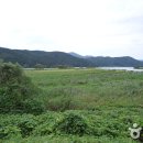 경안천습지생태공원 이미지