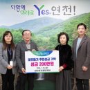 골든파인트리 이미지