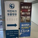 마린파크 동물병원 네이버블로그