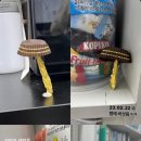 소병수이비인후과 네이버블로그