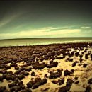 스트로마톨라이트 이미지