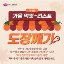하나투어리스트주 이미지