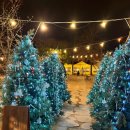 강변유원지길 이미지