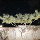 플레인호텔(THE PLAIN) 이미지