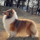 여주-0898 이미지