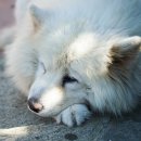 대섬농장 이미지