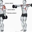 세종 바른 운동 이미지