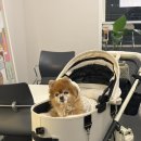 사임당로 106 이미지