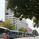 온누리대왕약국 | 마운자로 2차 구매 (종로 성지)