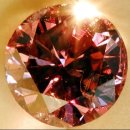 시골오리 이미지