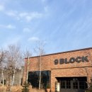 자작나무 스테이 | 경기도 가평 가족들과 오기 좋은 대형 카페 l 더스테이힐링파크 나인블럭 후기