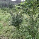 내곡농장 이미지