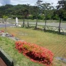 산청한방펜션 이미지