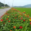 소라면사무소 이미지
