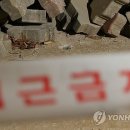 우리전단