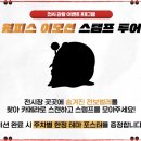 루피독 | [원피스 25주년 특별전] 다녀온 후기... 브금 듣는 순간 가슴이 웅장해졌다