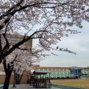 광양여자중학교 이미지