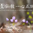선기로2-1 이미지