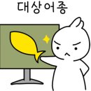 낚시타운 좌대낚시 네이버블로그