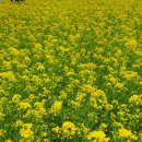 대저어린이집 이미지