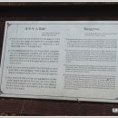 대계사 네이버블로그