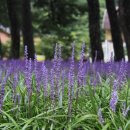 상오리 마을회관 이미지