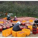 봉좌농장 이미지