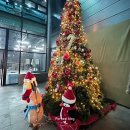 큰바위가든 | 일산 대형카페 아쿠아가든 방문기, 식사도 가능해요~ (오일파스타&amp;소고기필라프 후기)