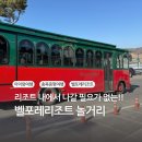 벨포레얼룩말카페 이미지