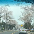 호근서호로 이미지