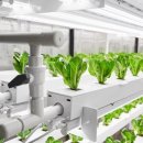 스마트팜 이미지