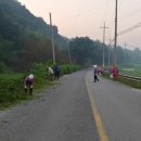 이조3리 이미지