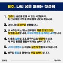 일프로기획 이미지