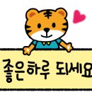 후루팝