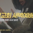 영성일기 2026.07.01.(수) 새벽기도회 (찬송)497장 주 예수 넓은 사랑(성경)딤후 1:3-5 거인의 어깨 위에 서서 보라 이미지