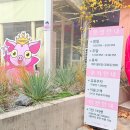 윙키핑키 이미지