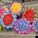 월평중학교 이미지