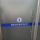 팔달삼림
