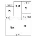 동아목련 이미지