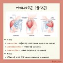 라이프 피트니스 이미지
