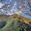 지리산대경캠핑장 | 산청 지리산 당근오토캠핑장(구 대경오토캠핑장) 가2사이트 후기