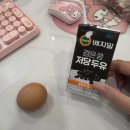 백암장 | bye 2025! 2025년 12월 모음zip