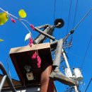 금정농협고래불리조트 이미지