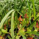 막실농장 이미지